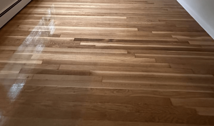 Ocean Flooring